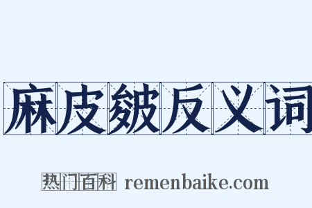 麻皮皴反义词是什么意思的图片